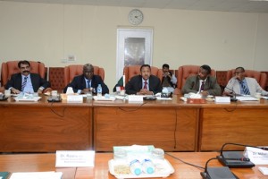 الجانب السوداني