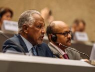 <strong>Foreign Ministry Undersecretary addresses high-level meeting of (IOM) Council</strong>