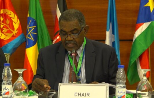 Sudan affirms keenness on success of IGAD plans and programs