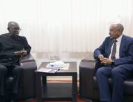 Foreign Minister Meets UN Interim Resident Coordinator for Development Affairs